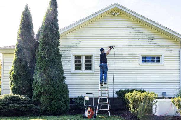 Best Pressure Washing Company Near Me  in Mcqueeney, TX